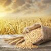 Organic Whole Wheat Couscous - Image 4
