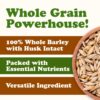 Organic Whole Unhulled Barley - Image 3
