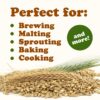 Organic Whole Unhulled Barley - Image 4