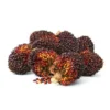 Palm oil 1LB | 100% Natural | Unadulterated, Raw & Unrefined - Image 4