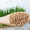 Hard Red Wheat Berries - Image 4