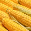 Organic Old Fashioned Coarse Cornmeal - Image 5