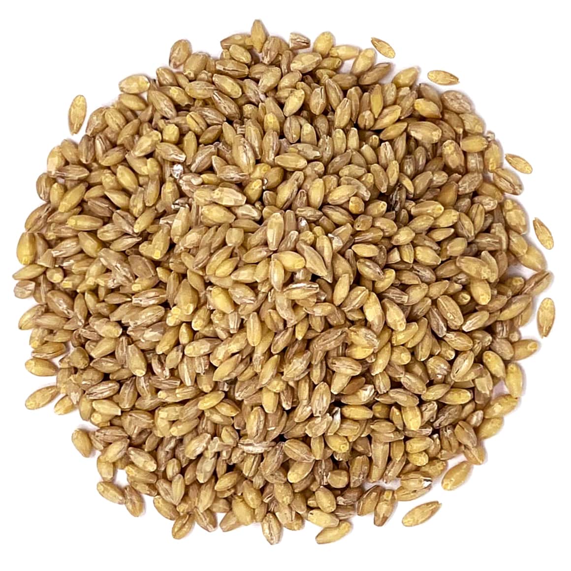 Hulled Barley