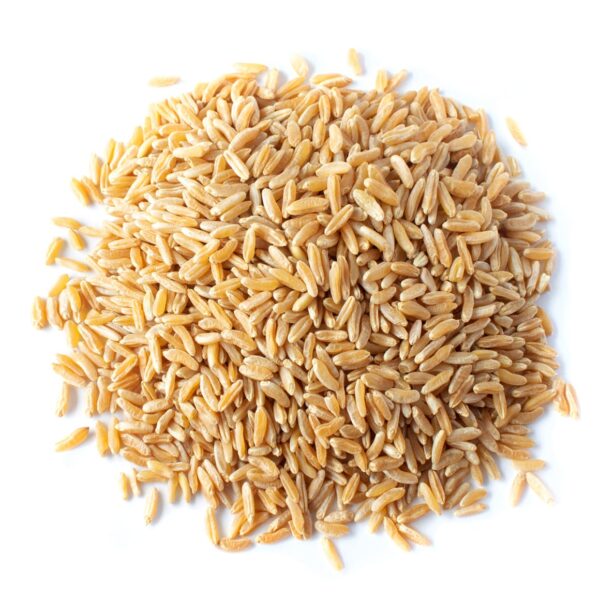 Organic KAMUT® Khorasan Wheat Berries
