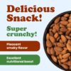 Organic Dry Roasted Almonds - Image 4