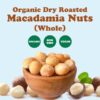 Organic Dry Roasted Whole Macadamia Nuts - Image 2
