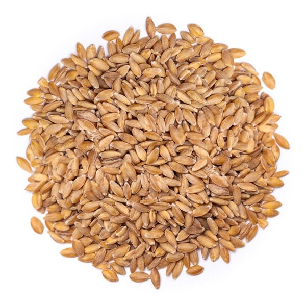 Organic Einkorn Wheat Berries