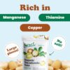 Organic Macadamia Nut Halves and Pieces - Image 3