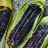 Organic Whole Blue Corn Kernels - Image 5