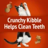 Purina Friskies Party Mix Gravy-licious, Cat Treats, Chicken & Gravy, 2.1 oz Bag - Image 3