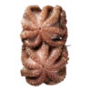 Pana Pesca Octopus Whole Cleaned Skin Pack, 17.6 Ounce - 8 per case. - Image 2