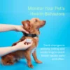 Whistle Switch Smart Collar Kit - Image 2
