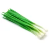 Fresh Green Onions Bunch, Each - Image 2