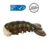 Marketside Frozen Wild Caught Cold Water Lobster Tails with Butter, 9 oz Box Contains lobster, milk. - Image 2