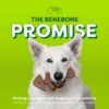 Benebone Essentials Fishbone M/L - Image 4