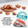 Meow Mix Irresistibles Soft Cat Treats with Salmon, 12 oz Bag - Image 3