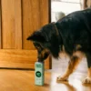 Earth Rated Leak-Proof Dog Poop Bags, Lavender, 100 Count on 5 Single Refill Rolls - Image 5