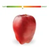 Fresh Red Delicious Apples, 5 lb Bag - Image 2