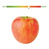 Fresh Honeycrisp Apples, 3 lb Bag - Image 2