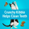 Purina Friskies Party Mix Cat Treats, Lobster and Mac 'N' Cheese, 6 oz Bag - Image 4