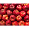 Fresh Rockit, Crisp Sweet Miniature Apples, 3lb Tub - Image 3