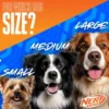 Nerf Dog Squeak Tennis Ball Dog Toy, 2.5 inch, 3 Pack - Image 3