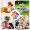 sixwipe 2 Pack Cat Toy Plush Ball Launcher Gun, Plush Ball Shooting Gun for Cats with 100 Pcs Pom Pom Ball for Indoor Cats - Image 4