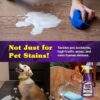 Wizards Pet Stain Remover & Odor Eliminator – 22 oz Enzyme-Free Spray for Carpets - Image 3