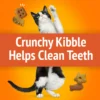 Purina Friskies Party Mix Original Crunch, Cat Treats, Chicken, Liver, & Turkey, 20 oz Canister - Image 3