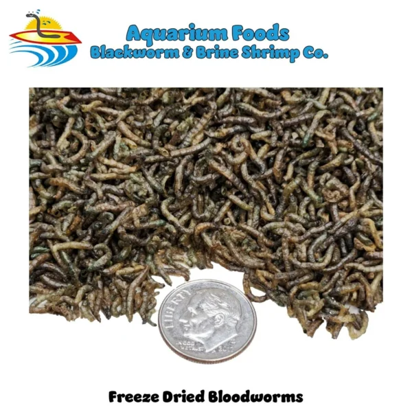 Freeze Dried Bloodworms - Turtles, Reptile, Chickens, Birds, Large Fish, Ponds…2-lb