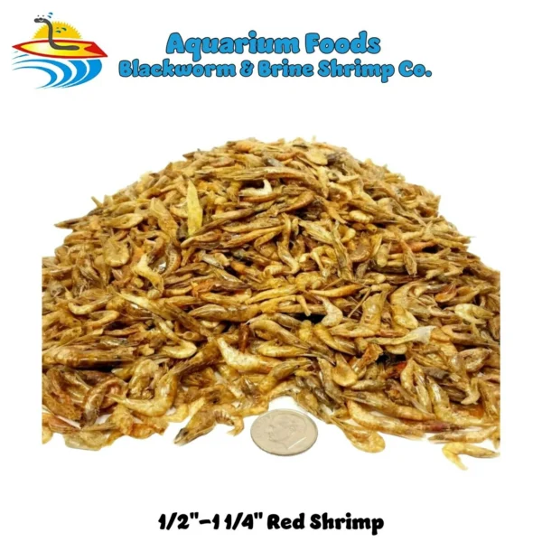 Freeze Dried Red Shrimp 1/2"-1.25" - Discus, Cichlids, Tropical Fish & Carnivorous Plants...3-lb