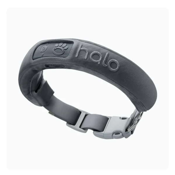 Halo Collar 3 - Wireless GPS Dog Fence & Training Collar with Real-Time Tracking, Graphite, Medium/Large