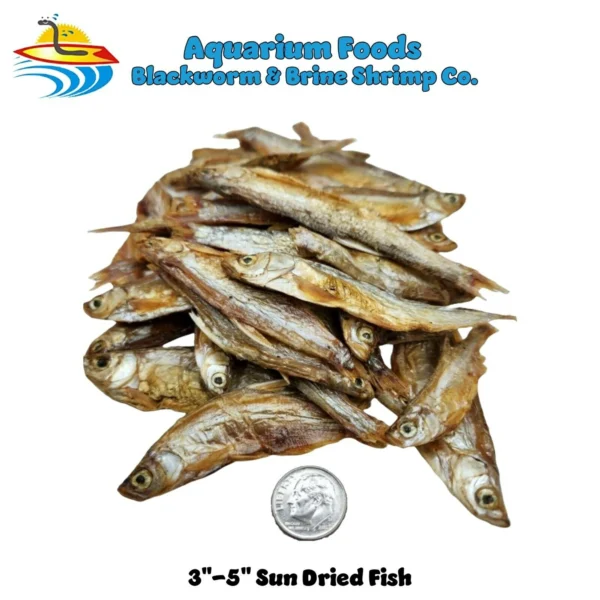 Sun Dried Fish 3”-5”- Turtles, Reptile, Chickens, Birds, Large Fish, Ponds...4oz