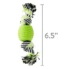 Vibrant Life Double Dental Dog Rope Toy, Small, Chew Level 1, 1 Pack - Image 4