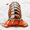 Today Gourmet Lobster Tails - 14oz.-16oz. - (2 Tails) - Image 3