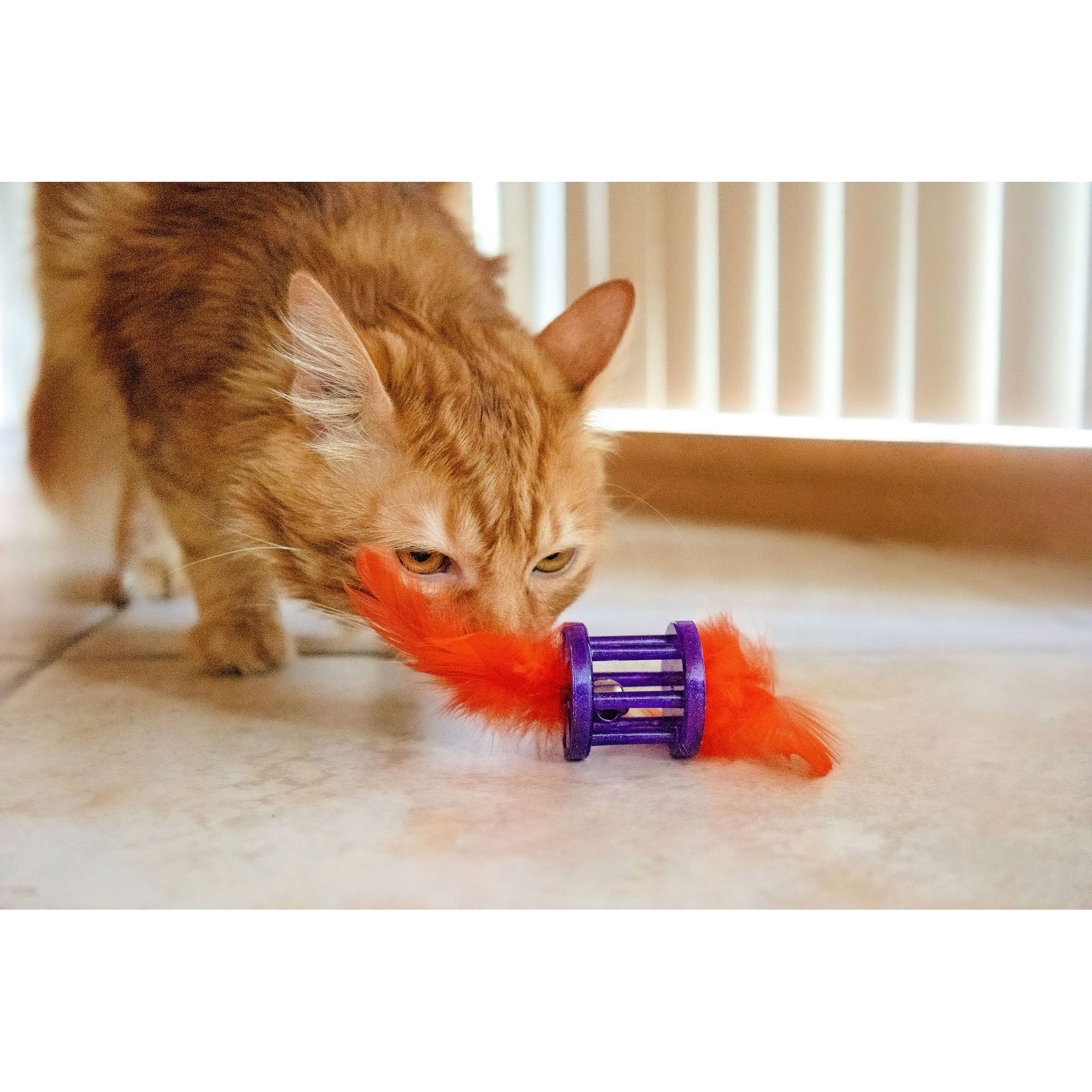 Vibrant Life Feather Rattle Cat Toy, Green - Image 5
