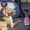 Wizards Pet Stain Remover & Odor Eliminator – 22 oz Enzyme-Free Spray for Carpets - Image 2