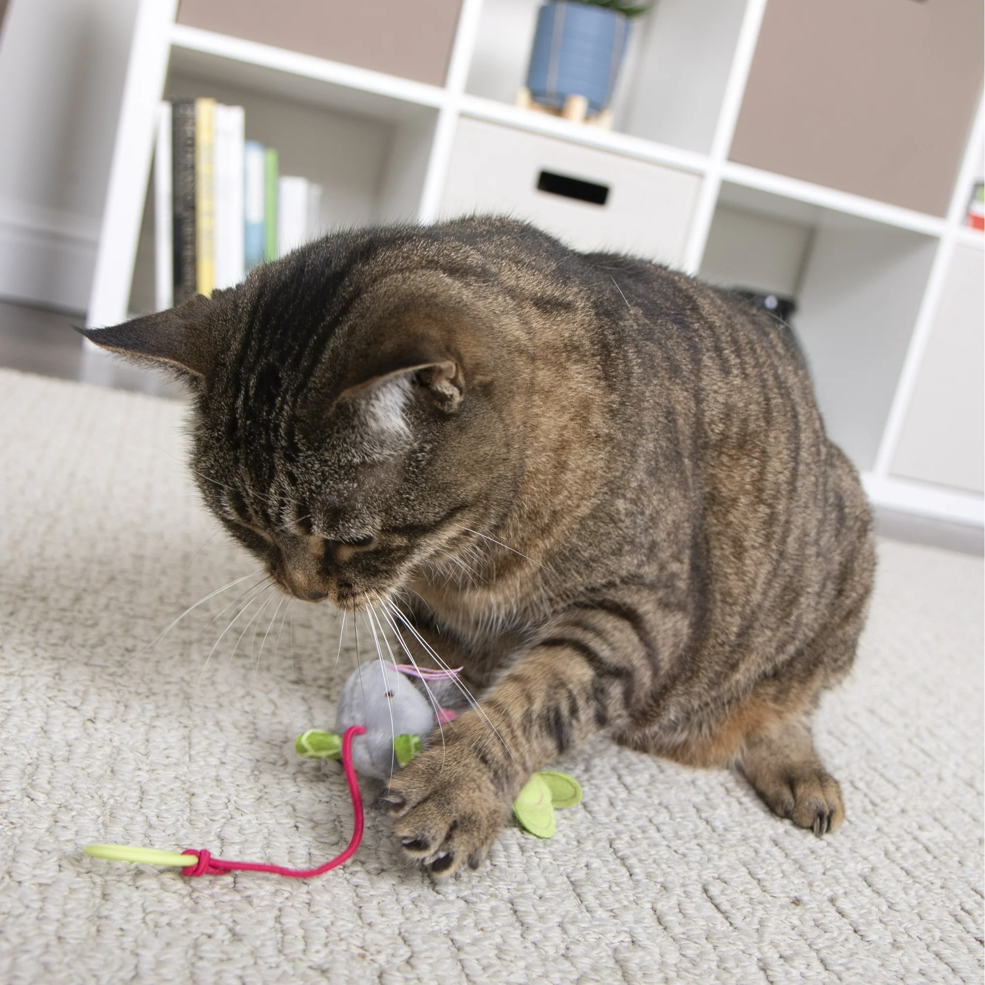 SmartyKat Bouncy Mouse Interactive Bungee Cat Toy - Image 4