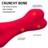 Play by Playology Dog Toys | Interactive Dog Toy Bone | Scented Crunchy Bone, Large - Image 5