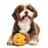 BARK Plush Dam Daniel Beaver Dog Toy, Brown, for Small and Medium Dog Sizes - Image 5