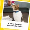 Temptations Mixups Catnip Fever Flavor Crunchy And Soft Treats For Cats, 16 Oz Tub - Image 4