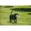 Multipet Plush Medium Lamb Chop Dog Toy with Squeaker - Image 3