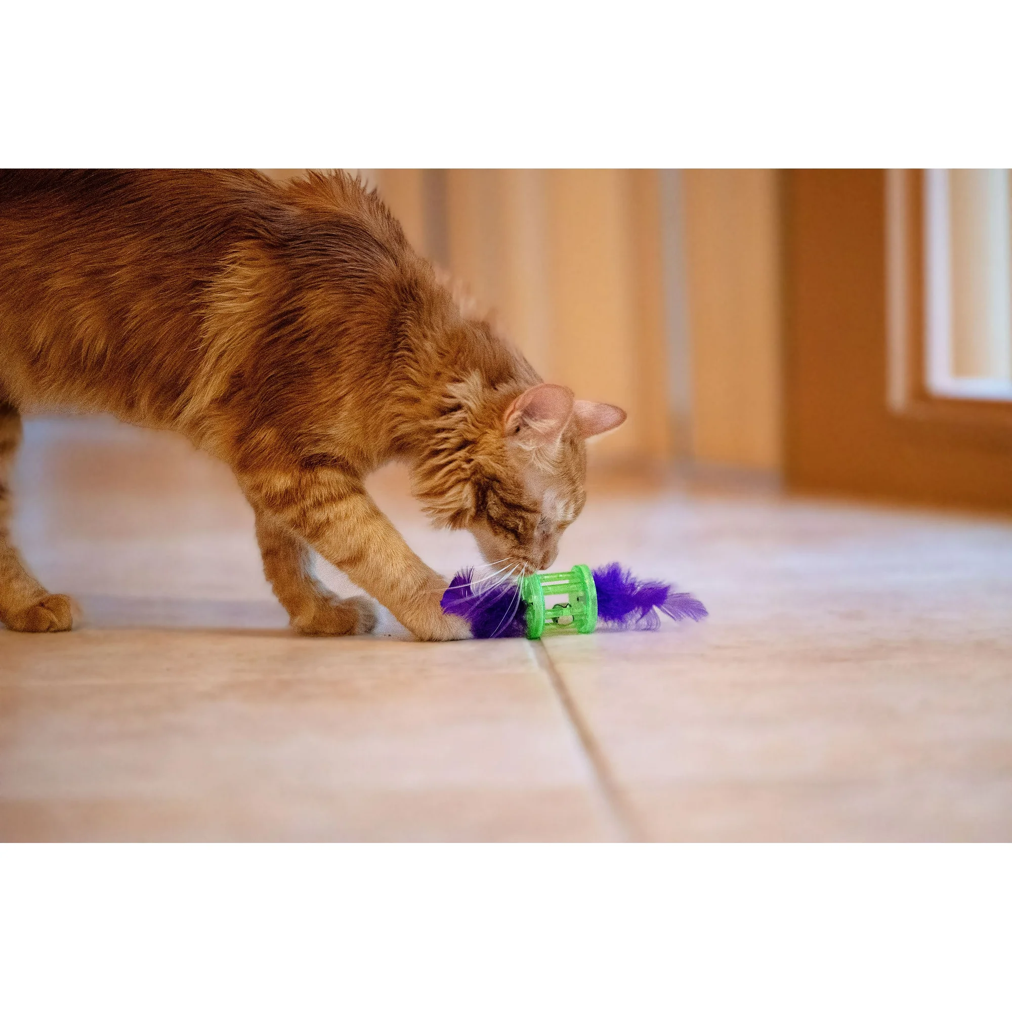 Vibrant Life Feather Rattle Cat Toy, Green - Image 3