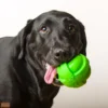 Hartz Dura Play Ball Dog Toy, Large, Color May Vary - Image 5