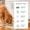 Freshpet Dog Treat, Dog Joy Slow Grilled Chicken Treat 6.4 oz Bag - Image 3
