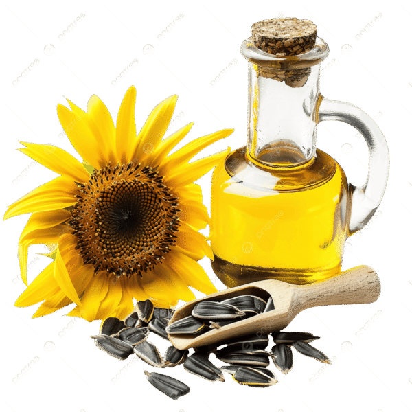 Sunflower Oil