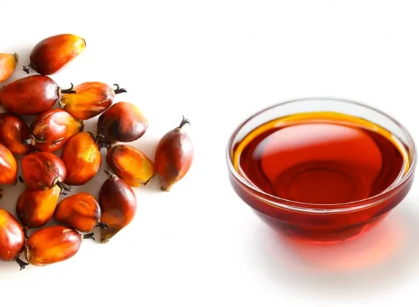 Palm Oil
